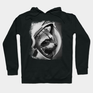 Astro-racoon Hoodie